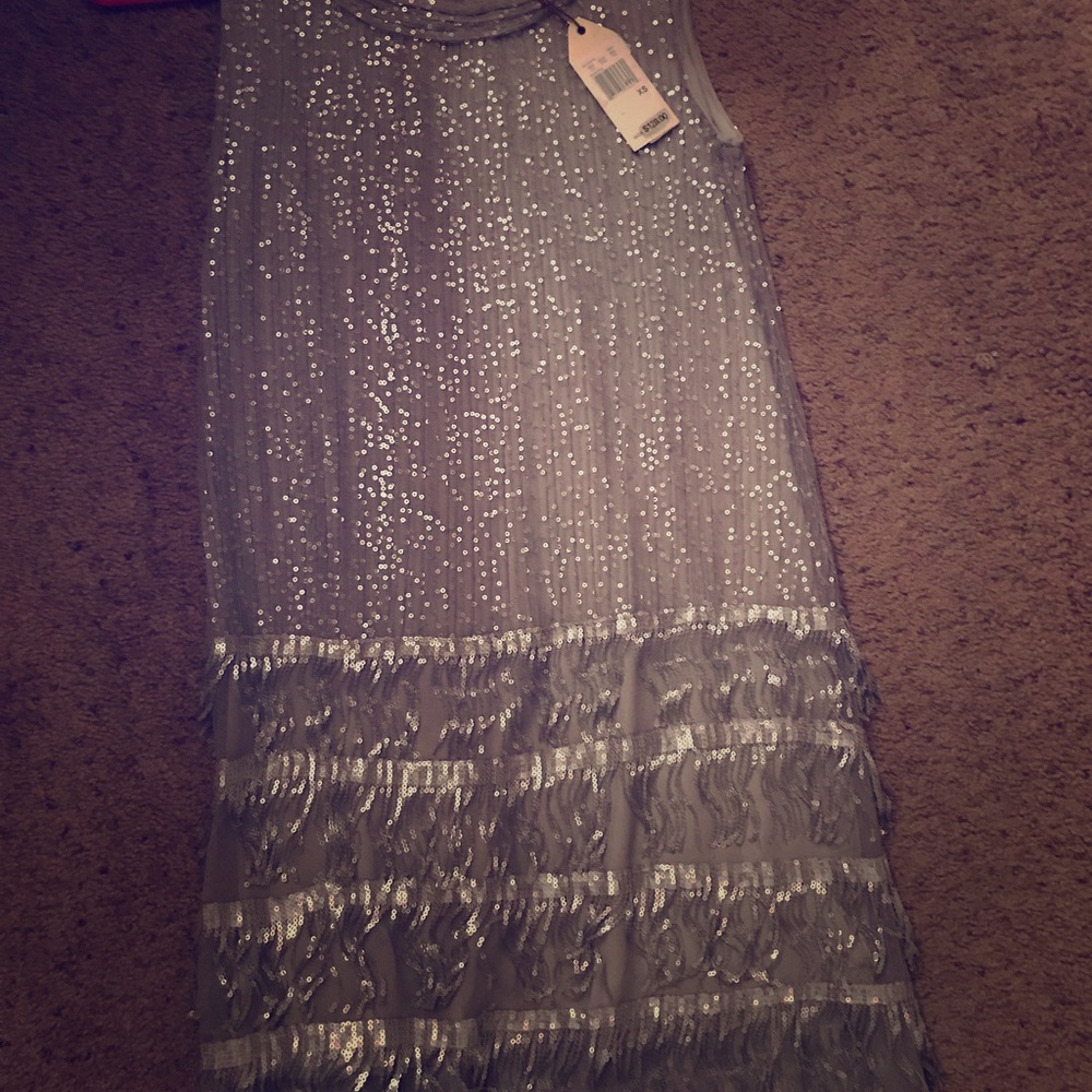 MSSP XS Silver Sequin 1920’s Flapper Dress